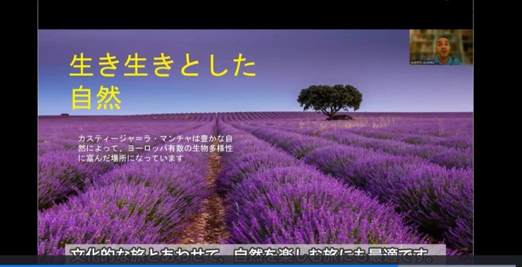 castilla-la mancha, turespaña, turoperadores japón