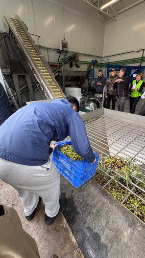 fam trip turoperadores chinos turismo castilla-la mancha