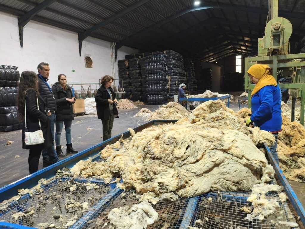 oleo turismo, castilla-la mancha, turismo, promoción turística