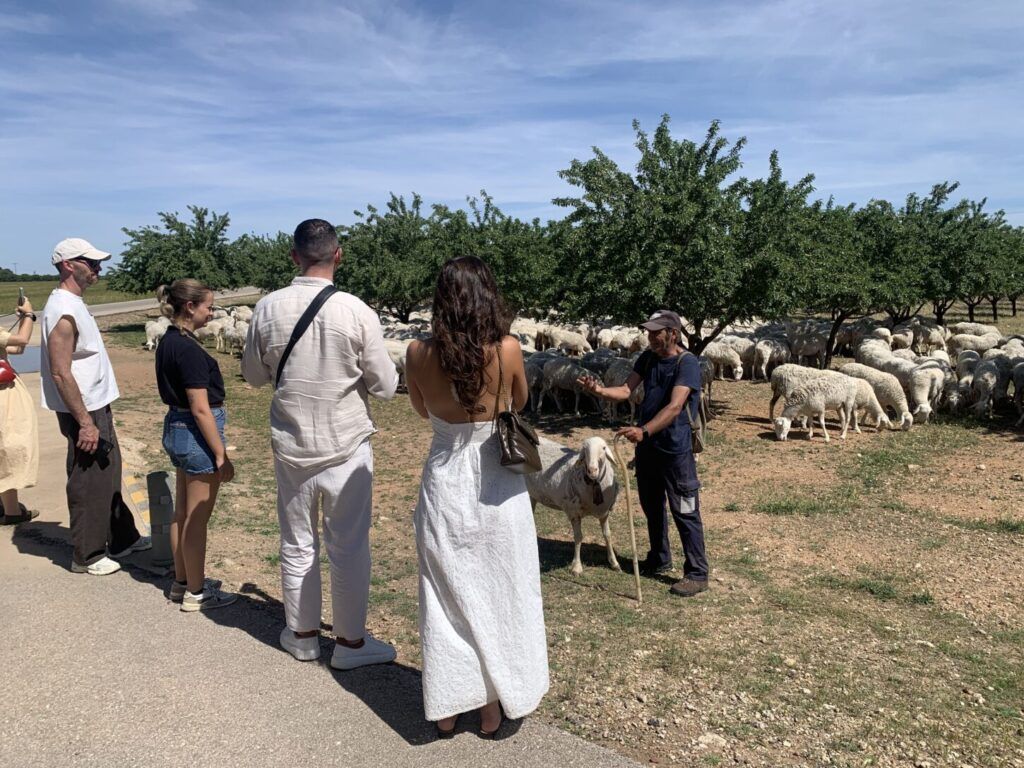 turismo castilla-la mancha, influencer trip, milan, mercado italiano