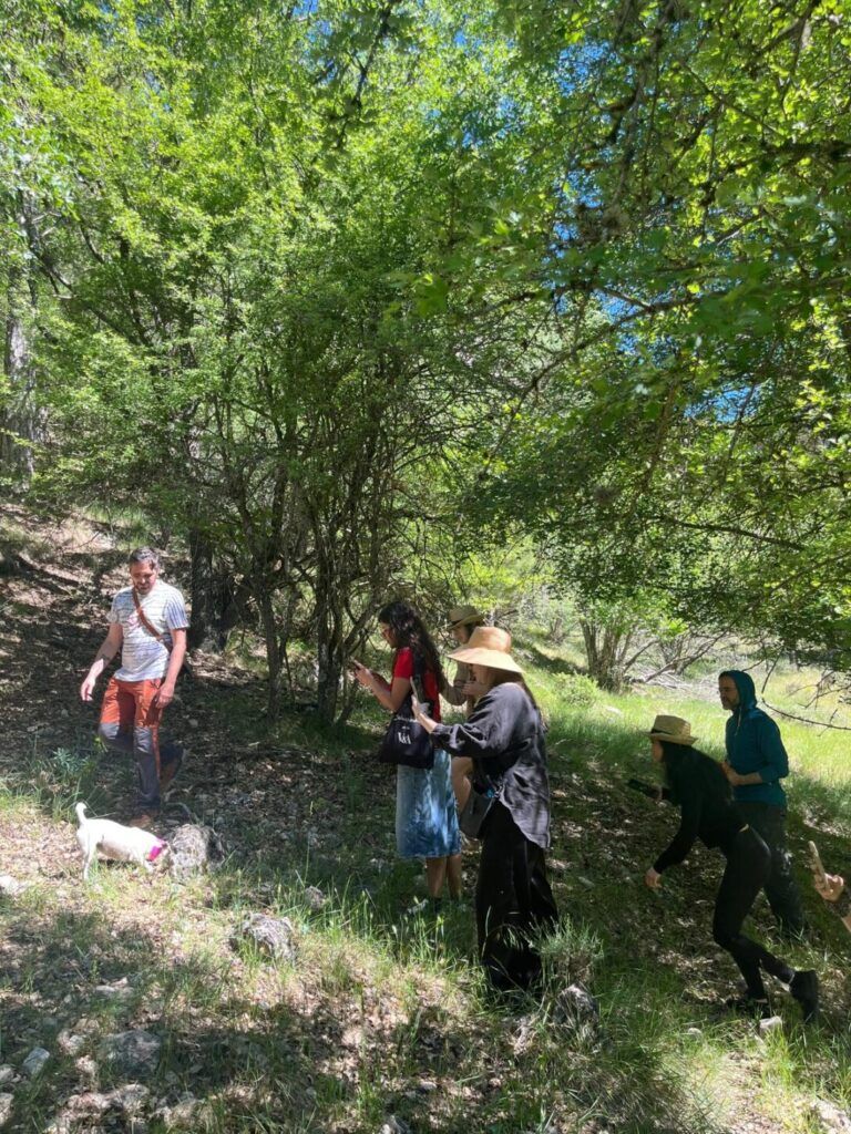 Ruta Michelín, Raíz Culinaria, Castilla-La Mancha, Influencer trip 2026, gastronomía Castilla-La Mancha
