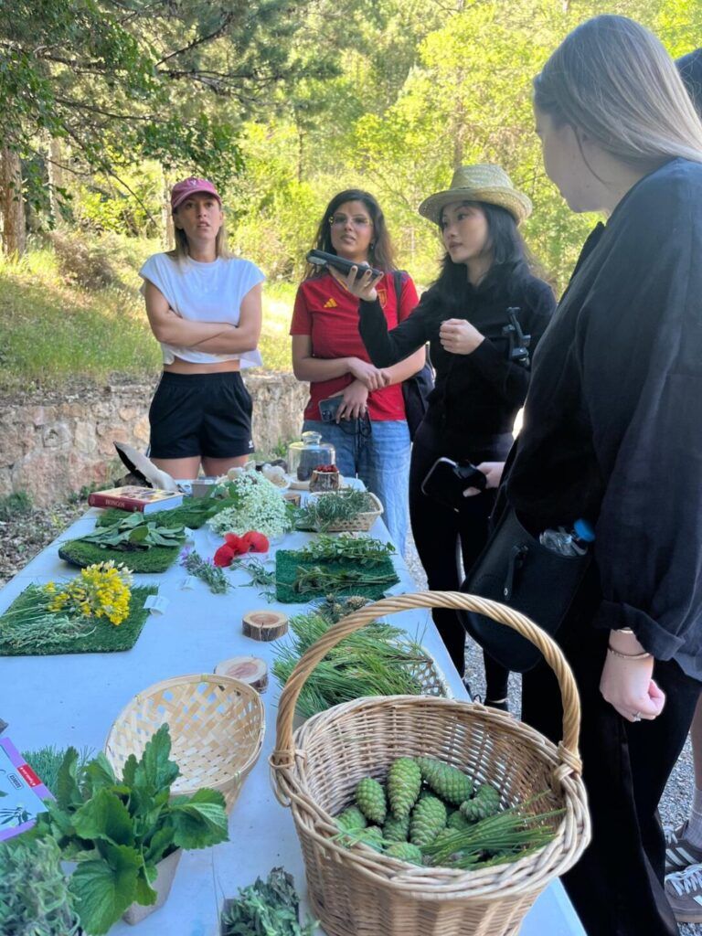Ruta Michelín, Raíz Culinaria, Castilla-La Mancha, Influencer trip 2026, gastronomía Castilla-La Mancha