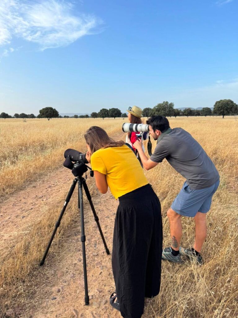Spain is Much More, turismo, castilla-la mancha, promoción, turespaña
