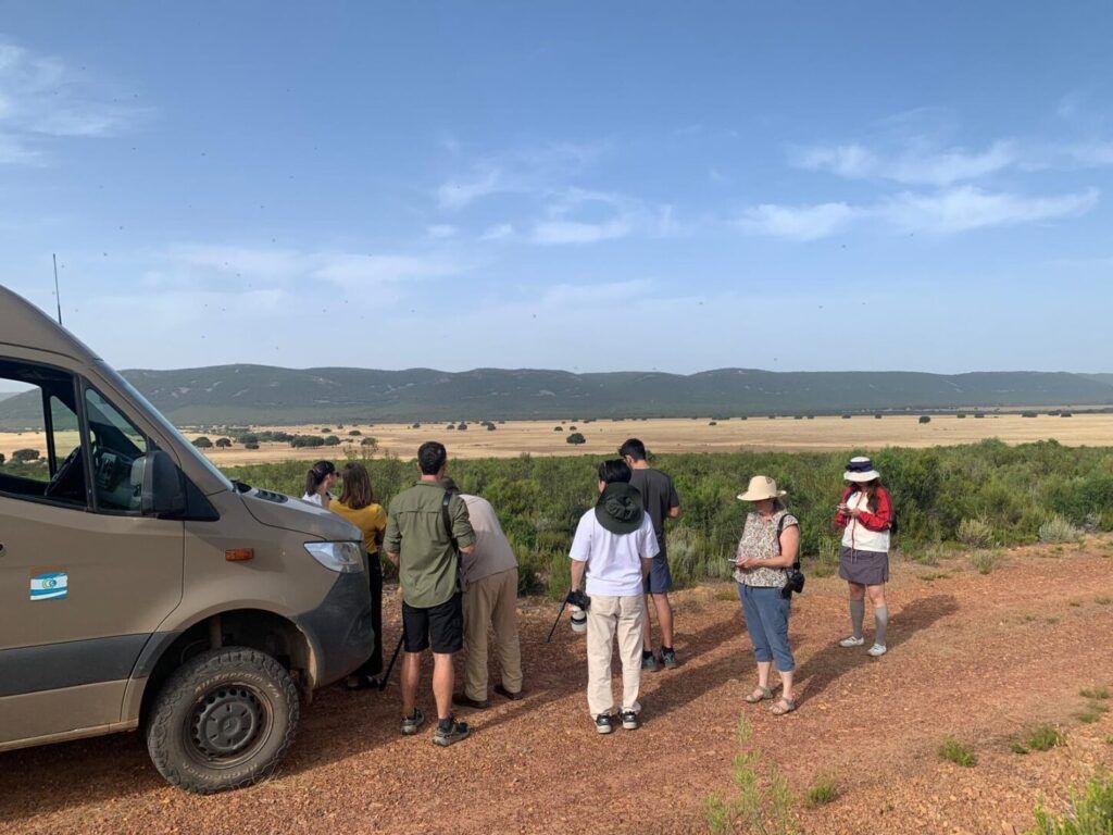 Spain is Much More, turismo, castilla-la mancha, promoción, turespaña