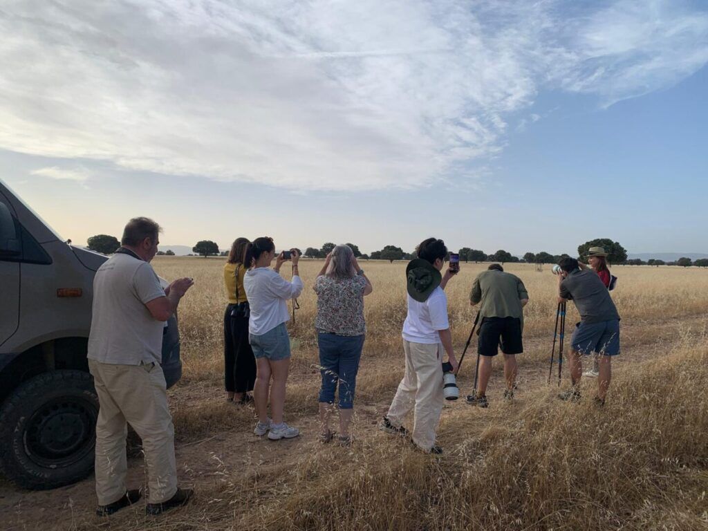 Spain is Much More, turismo, castilla-la mancha, promoción, turespaña