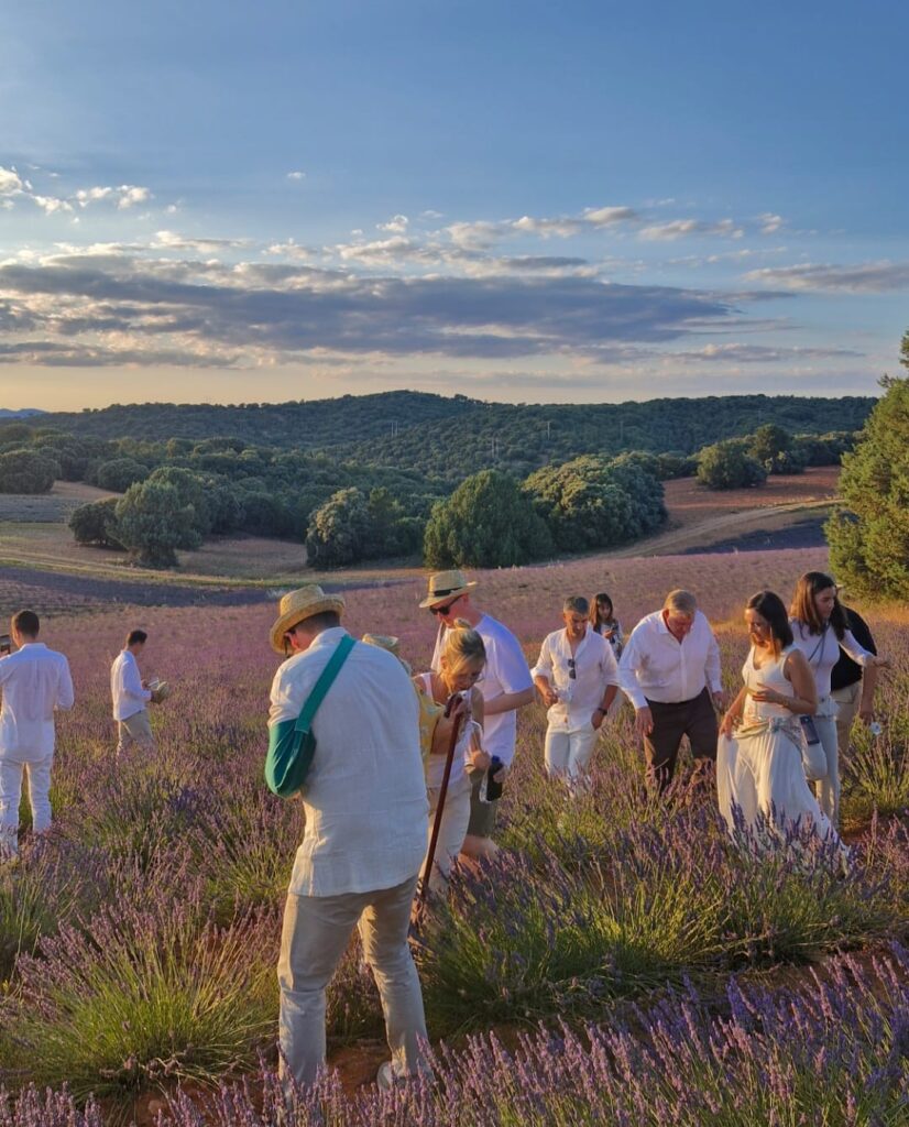 discover ear, castilla-la mancha, turismo castilla-la mancha, raíz culinaria, gastronomía